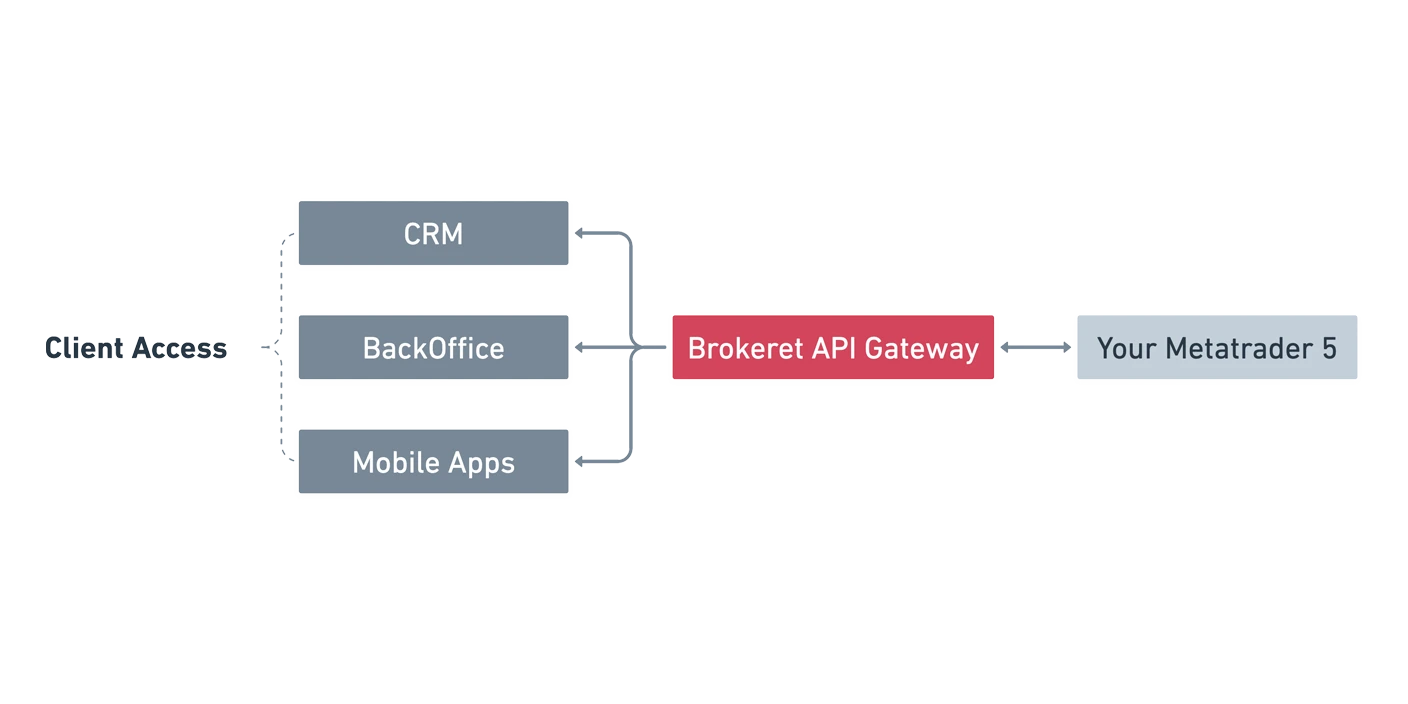 MT5 Manager API System Architecture and Workflow